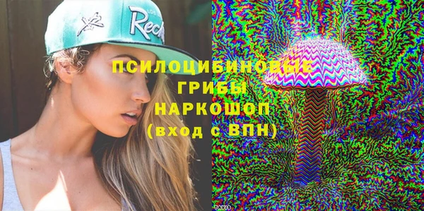 PSILOCYBIN Алзамай