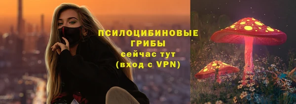 PSILOCYBIN Алзамай
