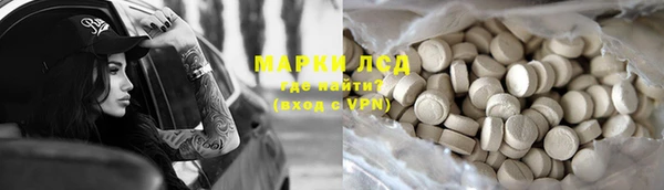 PSILOCYBIN Алзамай