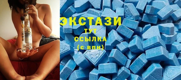 PSILOCYBIN Алзамай