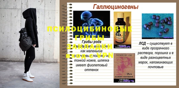 PSILOCYBIN Алзамай