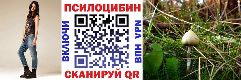 хочу   Любим  Галлюциногенные грибы Magic Shrooms 